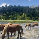 Διαμέρισμα Grand Dans En Bordure De Foret - De