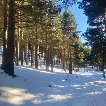 Grand Dans En Bordure De Foret - De Apartment
