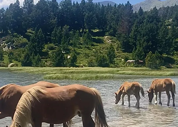 Διαμέρισμα Grand Dans En Bordure De Foret - De