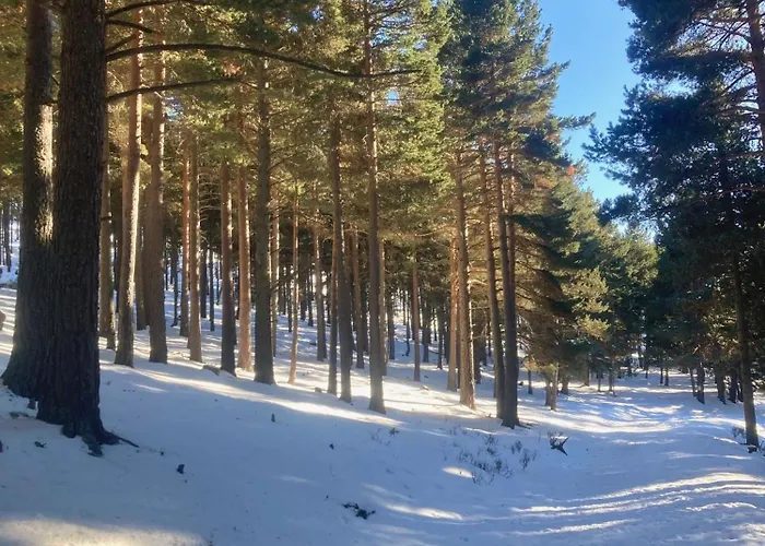 Grand Dans En Bordure De Foret - De Διαμέρισμα